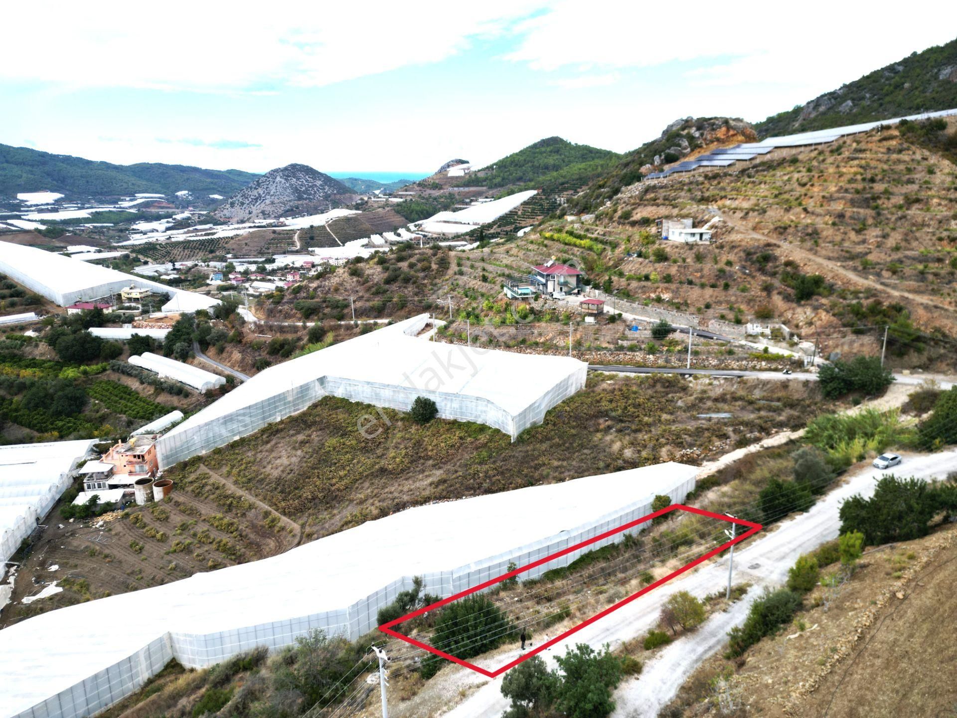 Alanya İmamlı Mah. Yola Sıfır Konumda Yatırımlık 900 M2 Tarla - Görsel 14