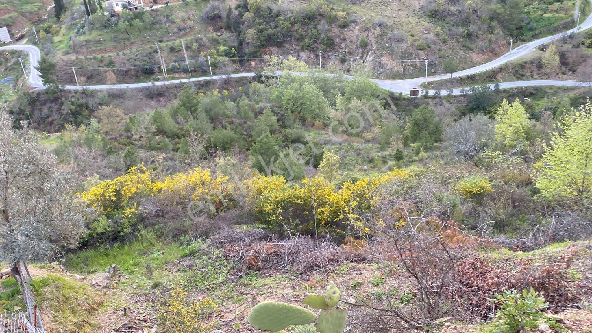 Alanya Çamlıca Satılık Tarla  sahibinden tek tapu su var 2 cephe yol