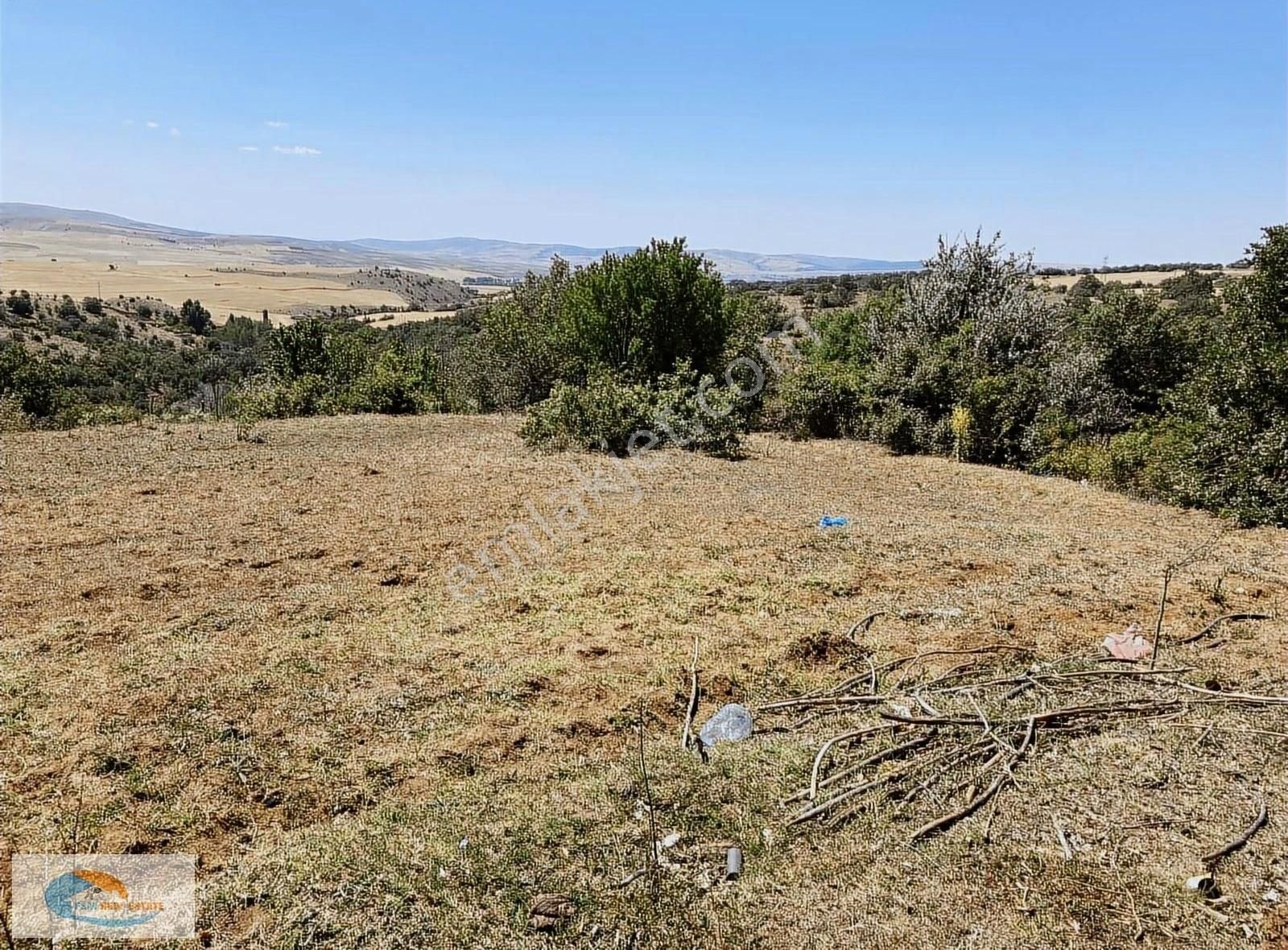 Yozgat Merkez Divanlı Satılık Bağ & Bahçe Yozgat Merkez Divanlıda Satılık 1931 M2 Arazi