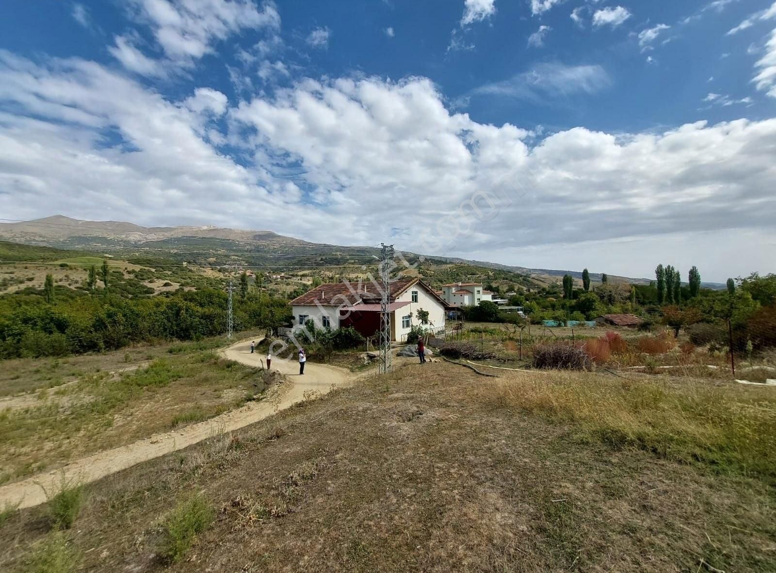 Kiraz Doğancılar Satılık Tarla Yunus Tan Kiraz Doğancılar Da Yola Sıfır Arazi