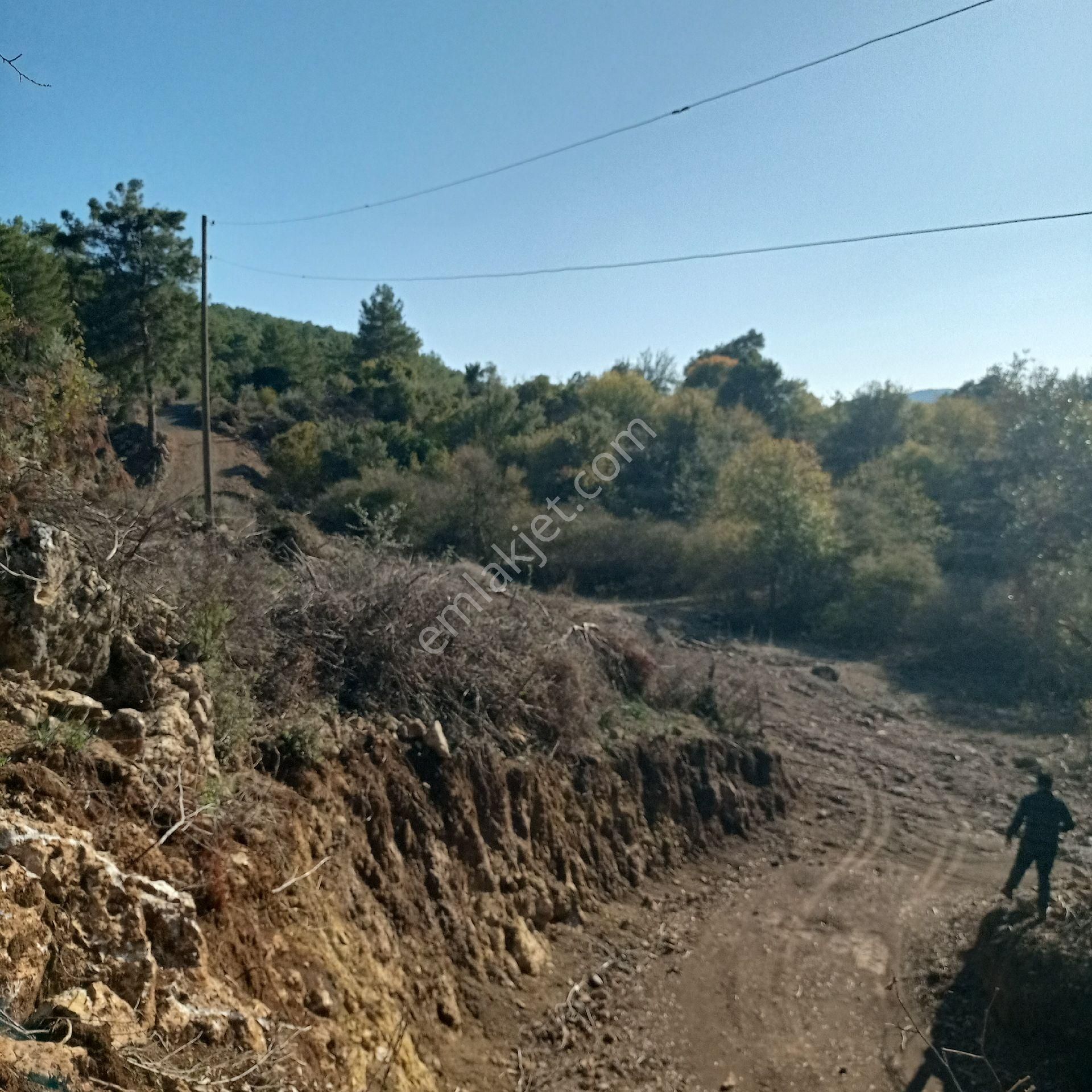Muğla Ortaca Dalyan Gökbel Satılık Tarla - Görsel 16