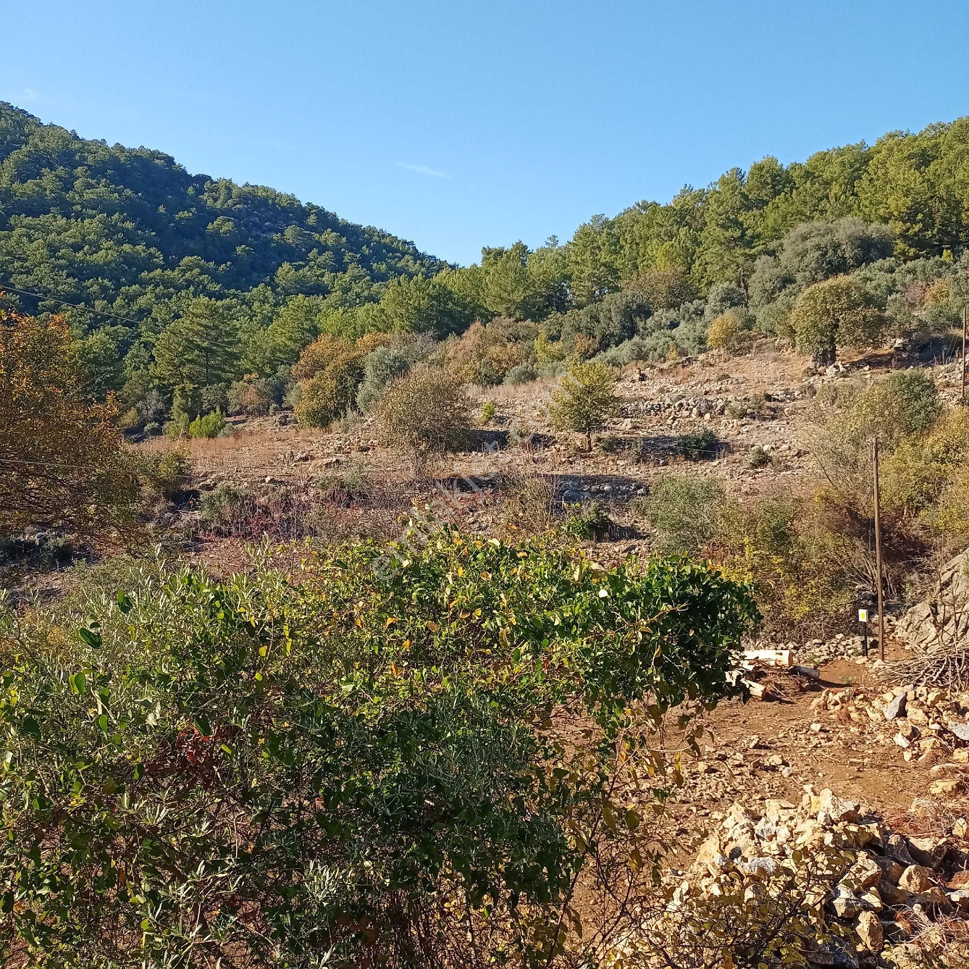 Muğla Ortaca Dalyan Gökbel Satılık Tarla - Görsel 18