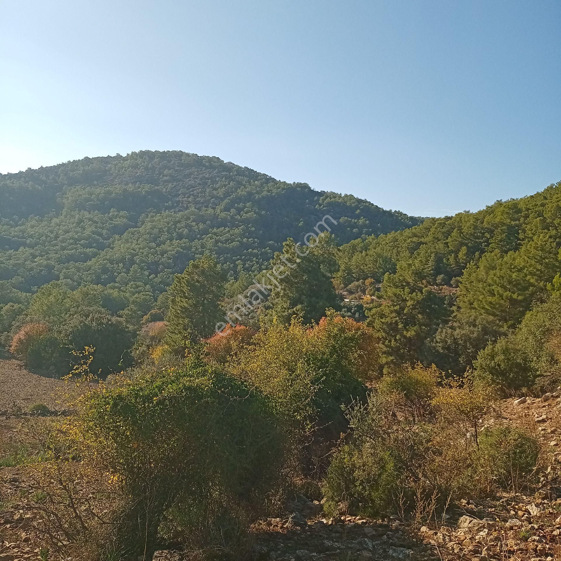 Muğla Ortaca Dalyan Gökbel Satılık Tarla - Görsel 5