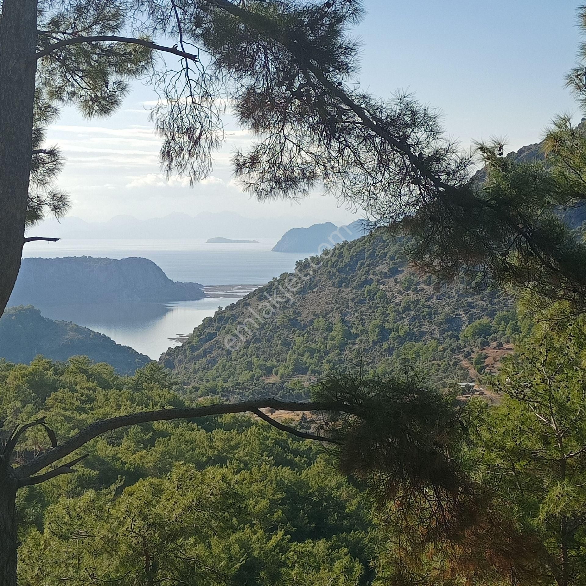 Muğla Ortaca Dalyan Gökbel Satılık Tarla - Görsel 29