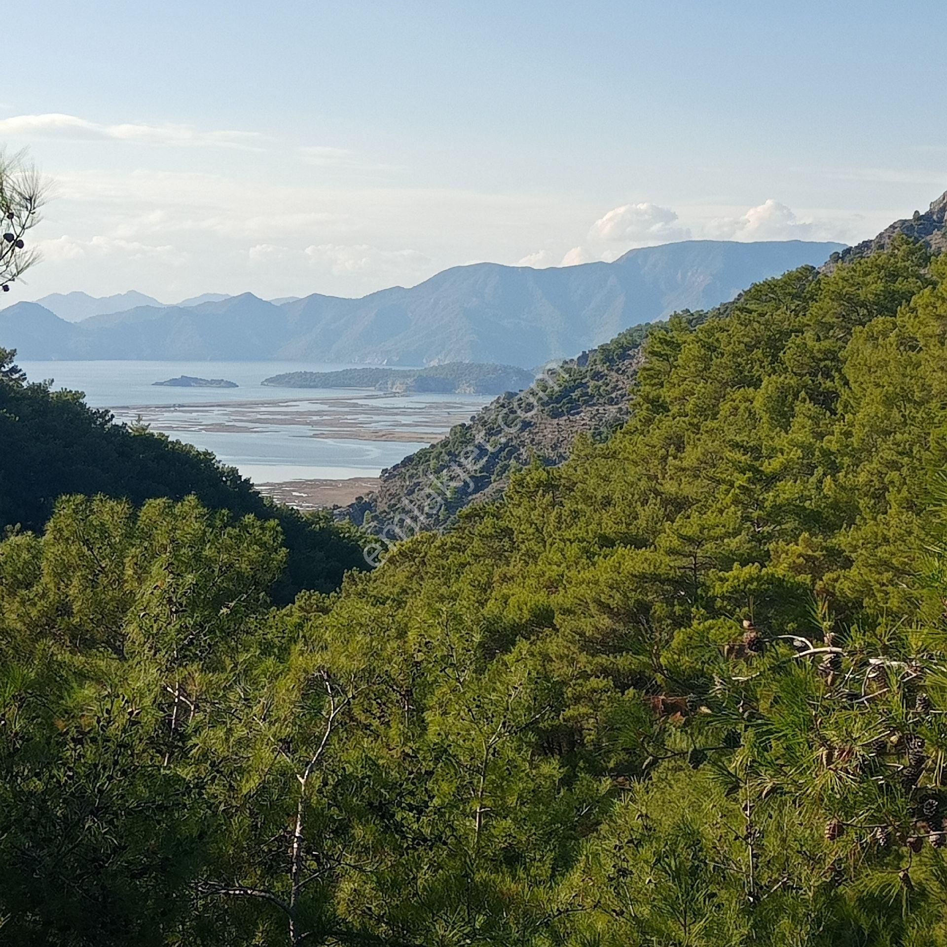 Ortaca Gökbel Satılık Tarla Muğla Ortaca Dalyan Gökbel Satılık Tarla