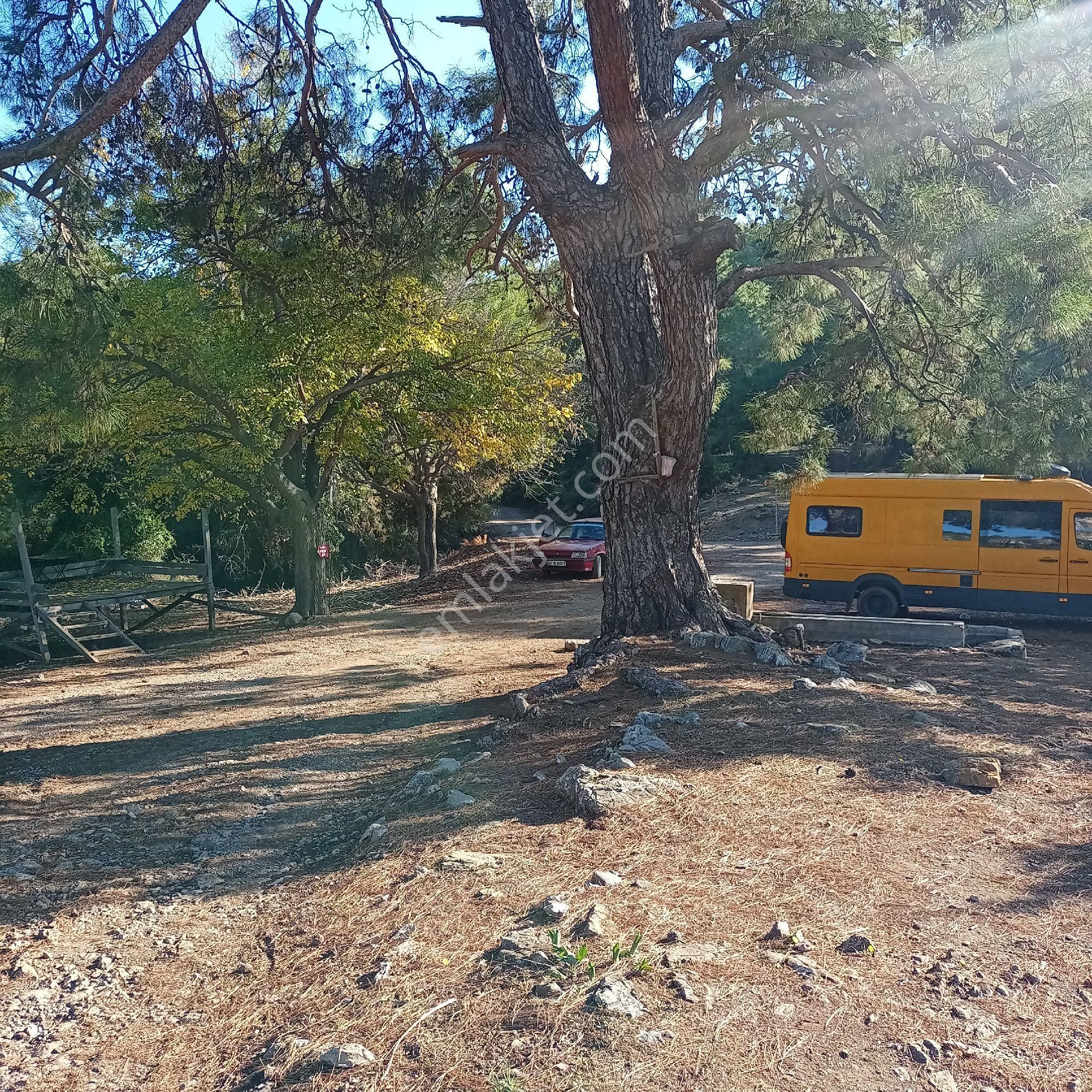 Muğla Ortaca Dalyan Gökbel Satılık Tarla - Görsel 6