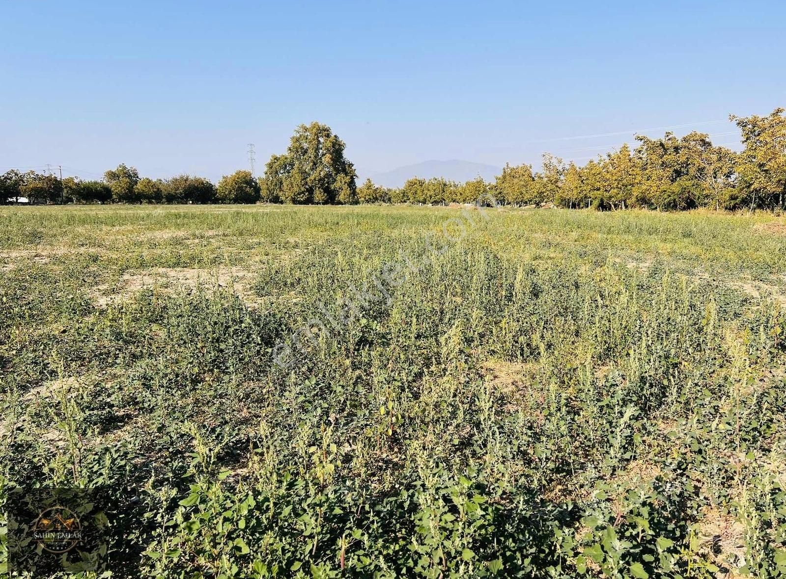 Tire İhsaniye Satılık Tarla İhsaniye Mah Şehir Merkezine 2 Km Uzaklık Ta Yatırımlık Tarla