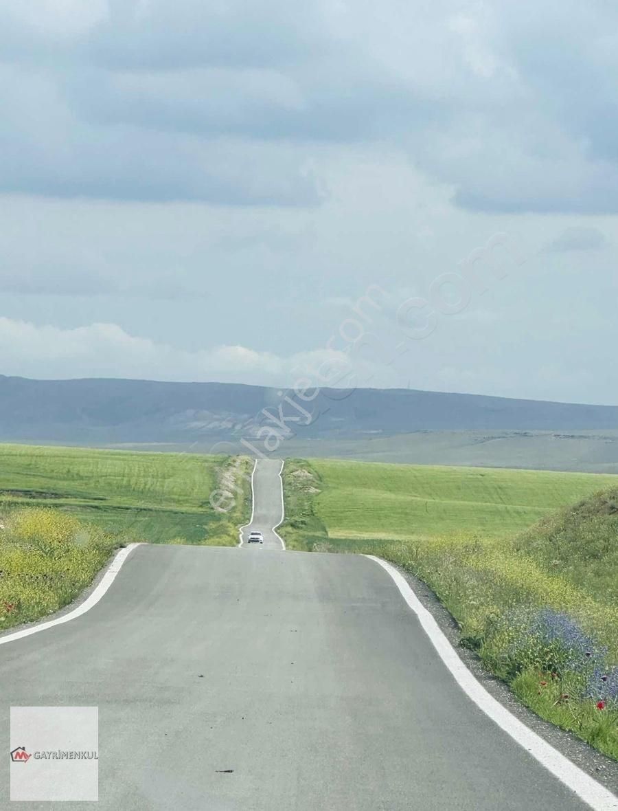 Polatlı Hacıtuğrul Satılık Tarla MY EMLAK OFİSİNDEN SATILIK HACITUĞRUL MAH. SATILIK TARLA