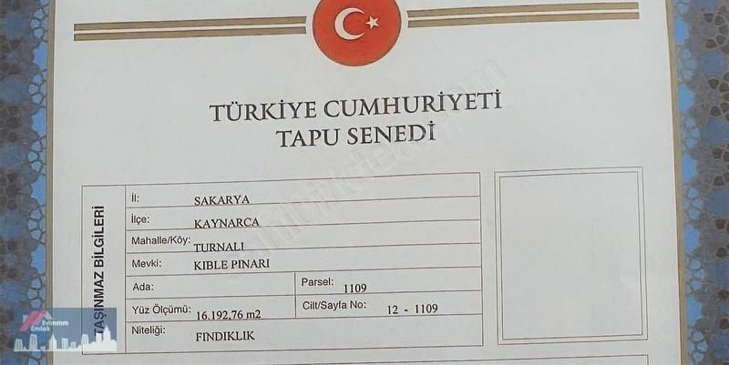 Kaynarca Turnalı Satılık Tarla Sakarya Kaynarca Turnalı Mh.1000m2 Satılık Fındık Bahçesi