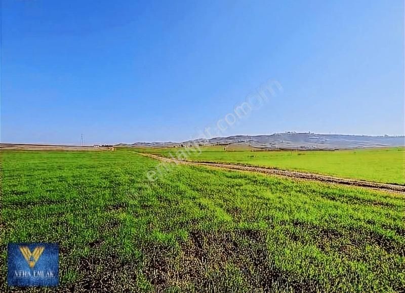 Çukurova Karahan Satılık Tarla KARAHANDA İMAR ÇALIŞMA SAHASINDA YATIRIMLIK TEK TAPU ARAZİ!