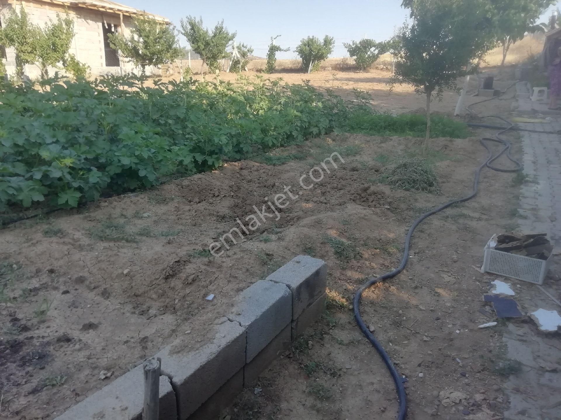 Kayseri Yolu Yakını Arpalık Çukuru - Görsel 14