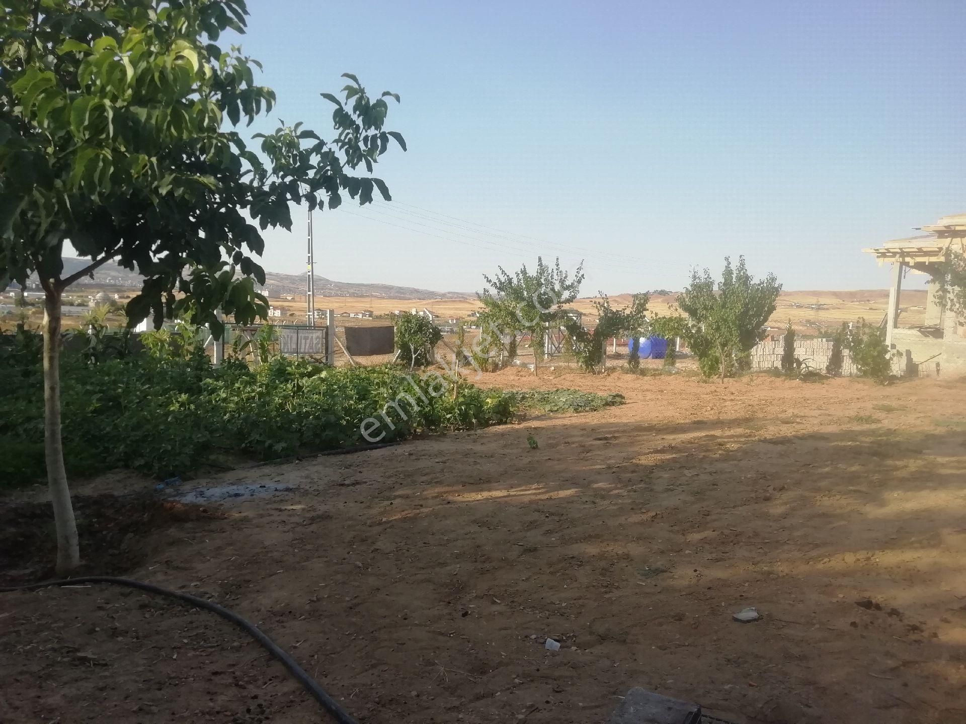 Kayseri Yolu Yakını Arpalık Çukuru - Görsel 12