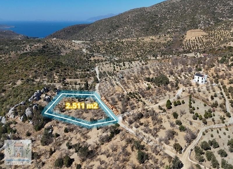 Datça Yazı Satılık Tarla Marinden Cumalı Mah. 2.511 M2 Resmi Yolu Olan Bademlik