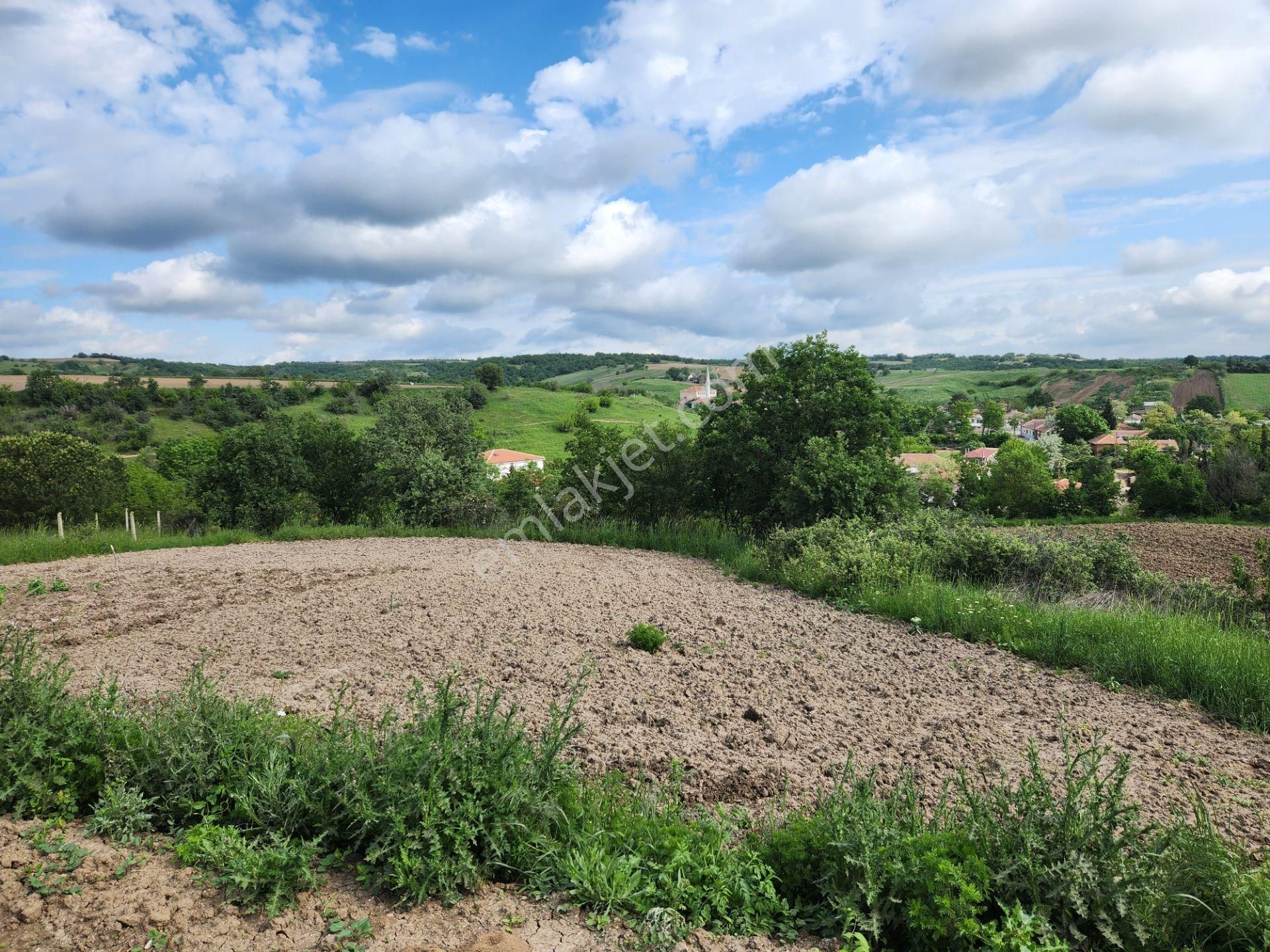 Meriç Akıncılar Köyü Satılık Konut İmarlı Edirne Meriç Akıncılar 800 M2 Konut İmarlı Arsa Elektrik Yol Su