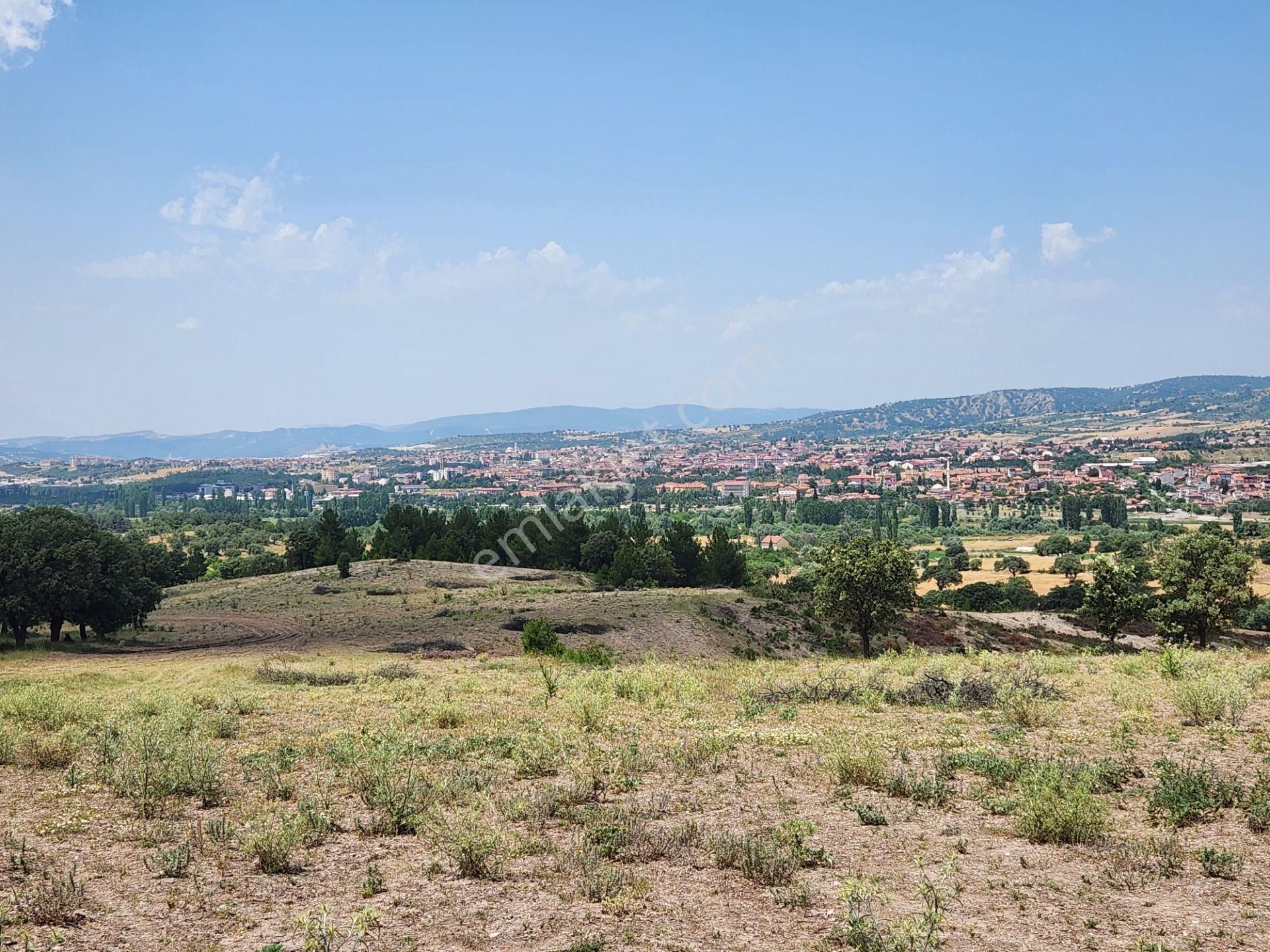 Gediz Dayınlar Satılık Tarla  KÜTAHYA GEDİZ MERKEZE 1 KM MESAFEDE 13.800 M2 YOLA CEPHE TARLA