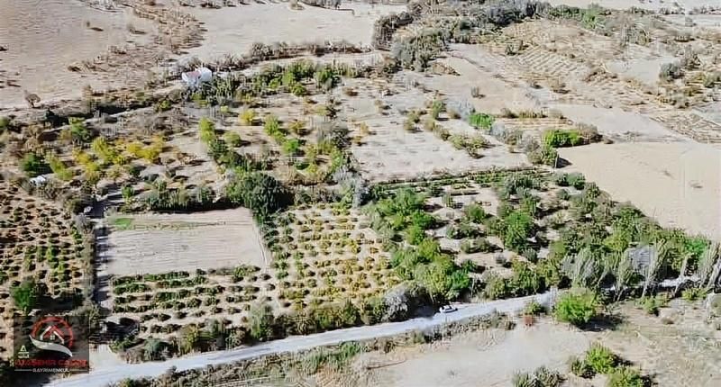 Elazığ Merkez Hankendi Köyü (Dilek) Satılık Tarla [ACG] SELİ' DE HAZIR KURULU 7.621 M2 BAHÇE