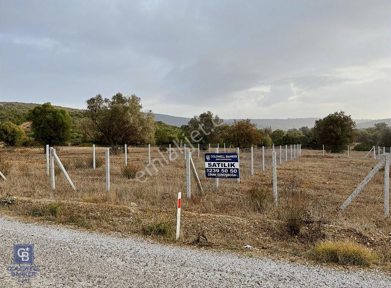 Urla Özbek Satılık Tarla Urla Özbek'te Özel Konumlu Satılık Fırsat Tarla