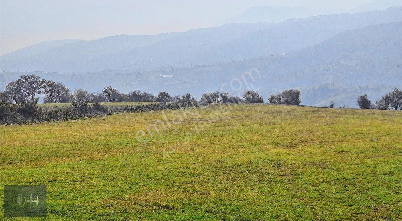 19 Mayıs Karagöl Satılık Tarla 44 GAYRİMENKUL'DEN 19 MAYIS KARAGÖLDE DENIZ MANZARALI TARLA