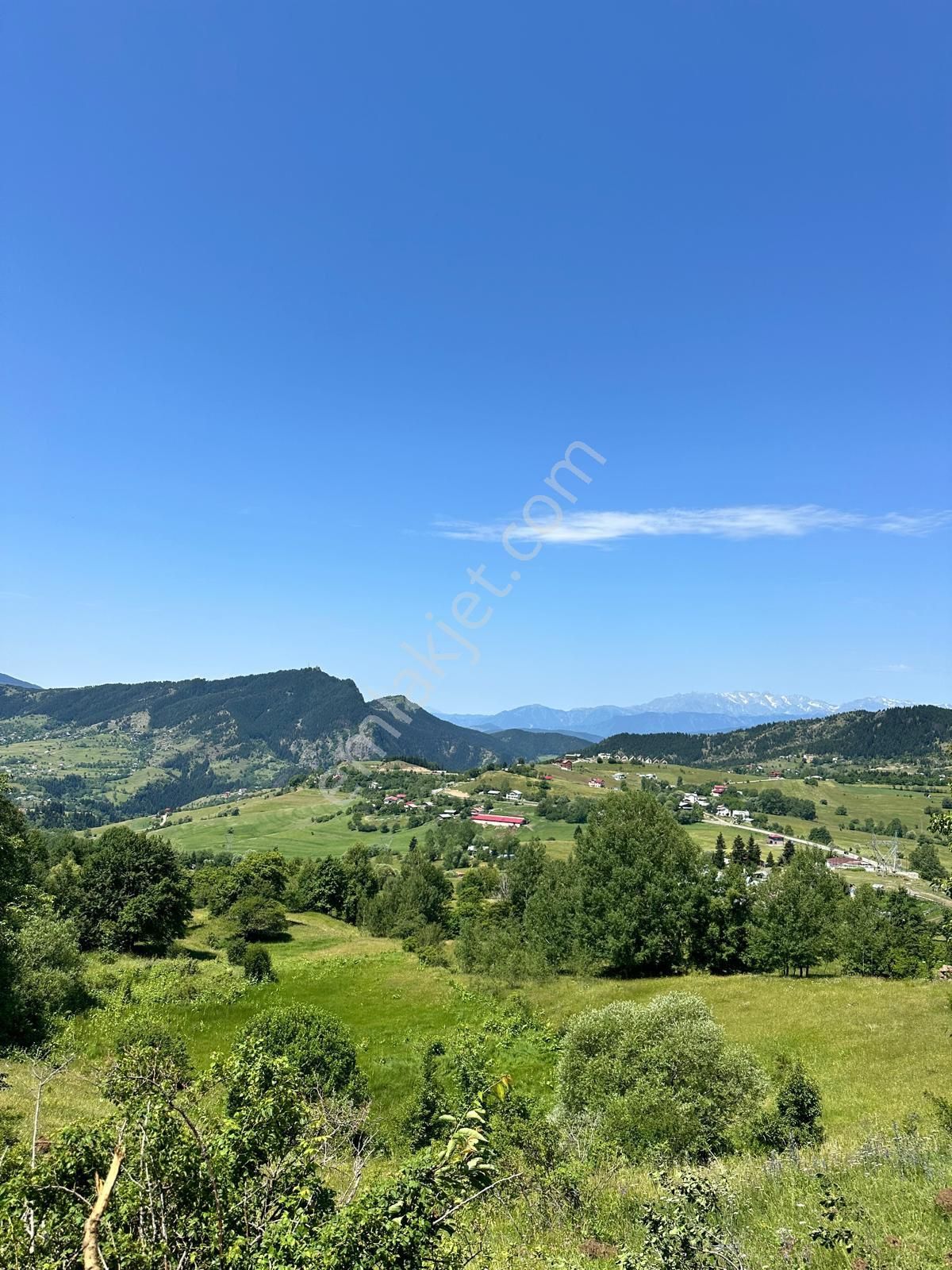 Şavşat Yavuzköy Köyü (Ayvazgil) Satılık Tarla Artvin Şavşat yavuzköyde satılık arsa