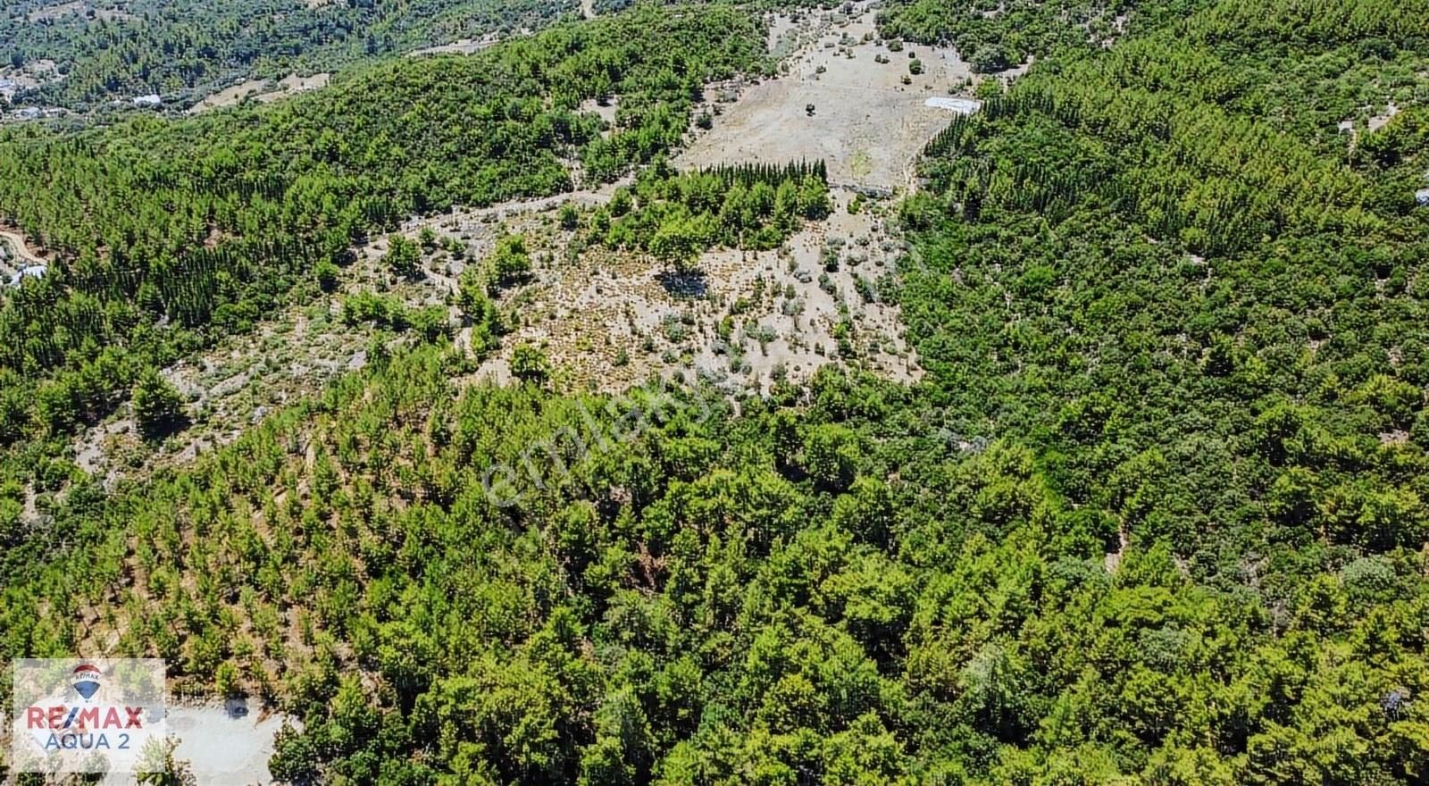 Kumluca Yazır Satılık Tarla Kumluca Yazır'da Satılık Tarla