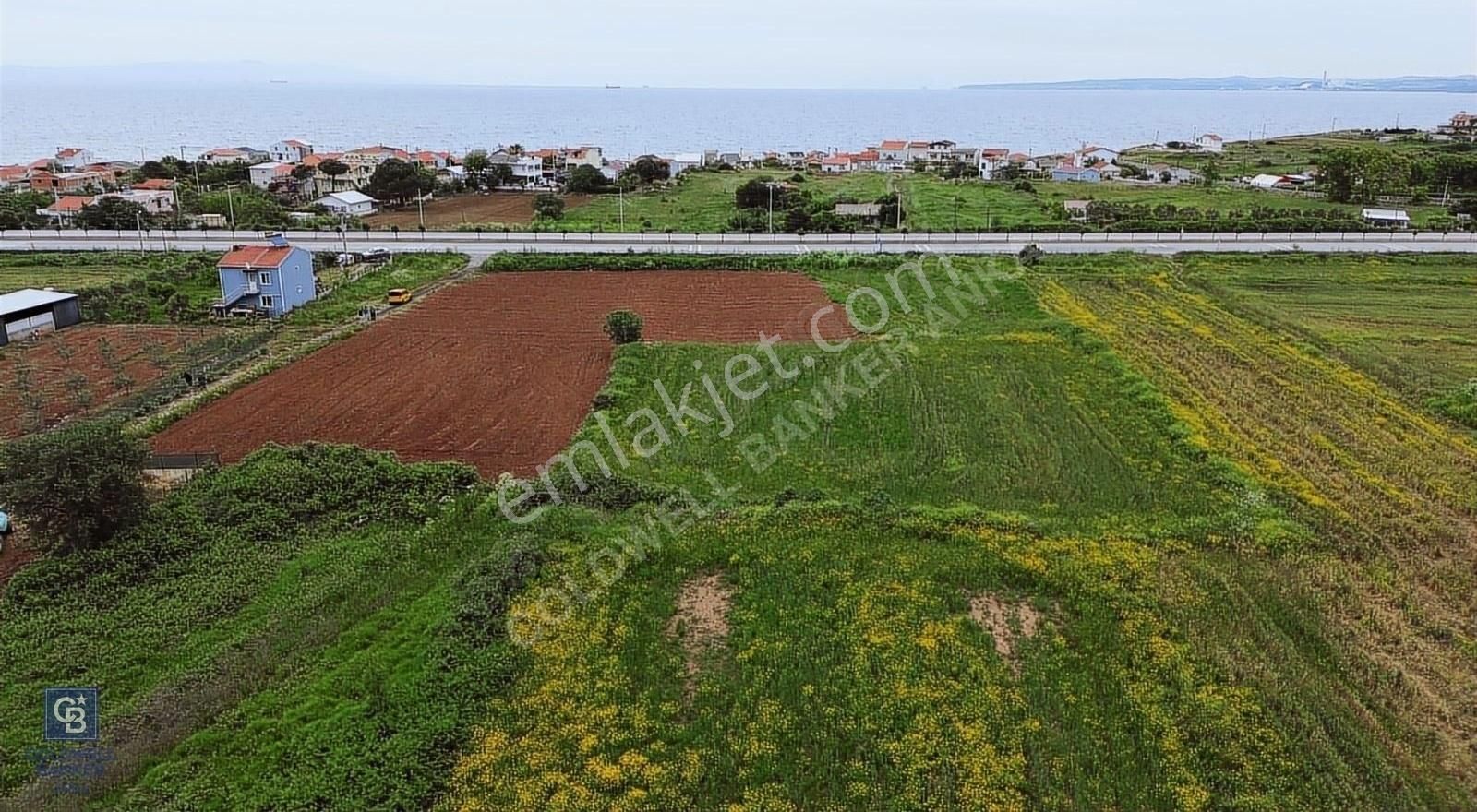 Lapseki Güreci Köyü (Gürecialtı) Satılık Tarla LAPSEKİ GÜRECİ ALTINDA BURSA YOLUNA 50M DENİZE 300M ARAZİ