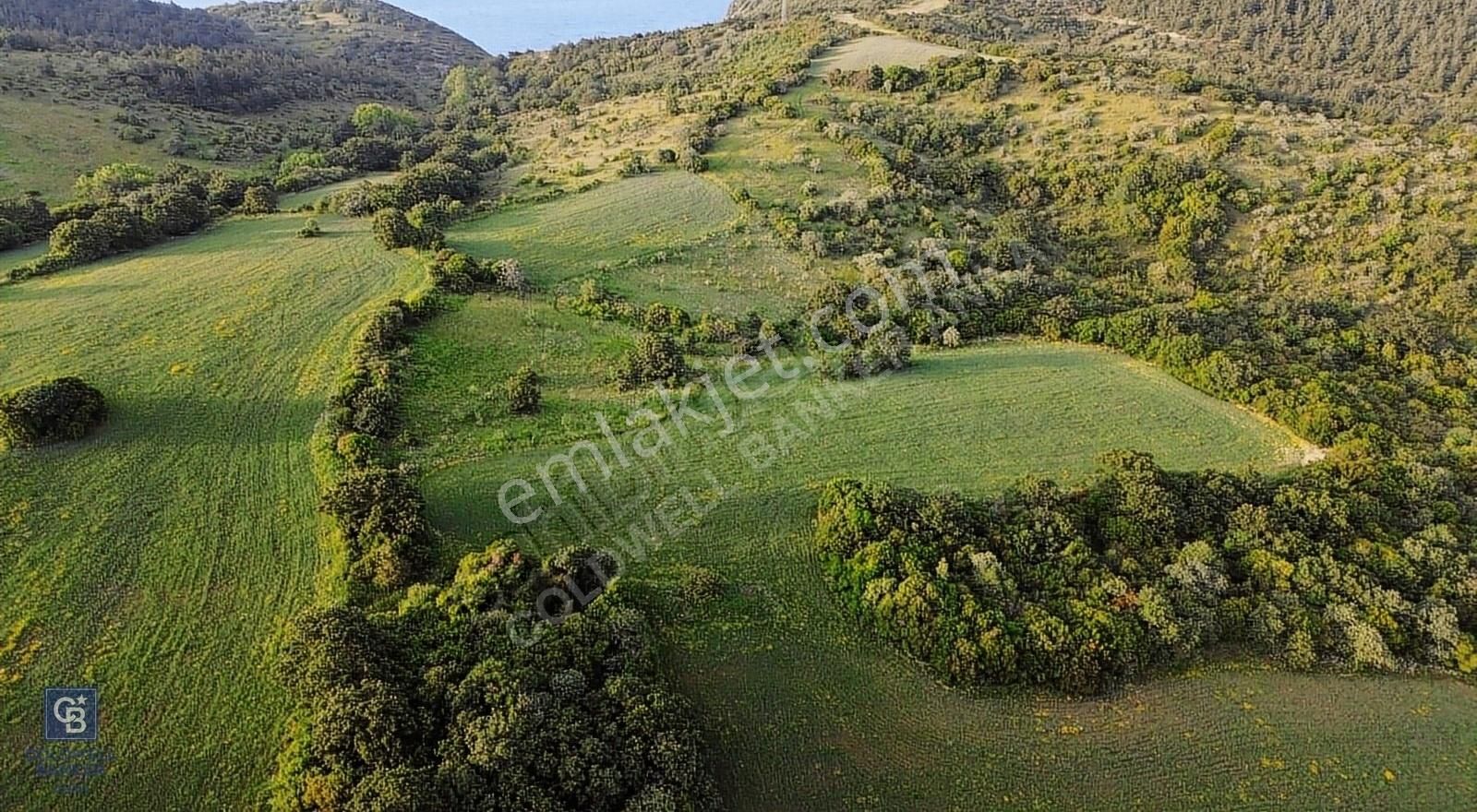 Lapseki Güreci Köyü (Gürecialtı) Satılık Tarla LAPSEKİ GÜRECİDE 3512 M² BURSA YOLUNA 300 MT DENİZE YAKIN TARLA