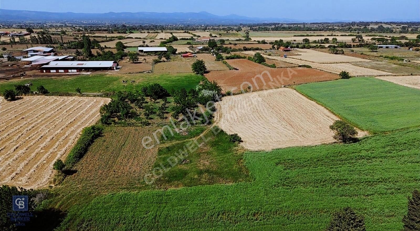 Bayramiç Türkmenli Köyü Satılık Tarla ÇANAKKALE BAYRAMİÇ TÜRKMENLİ KÖYÜNDE 440 M² TARLA