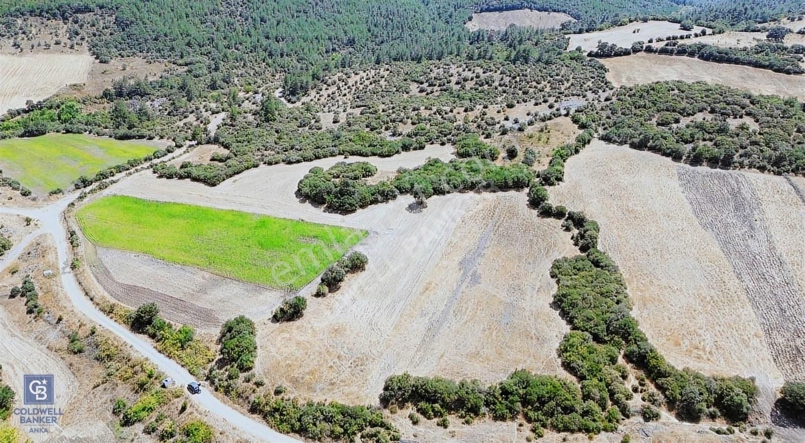 Lapseki Balcılar Köyü Satılık Tarla LAPSEKİ BALCILARDA OTOYOLA CEPHE KADASTRAL YOLU, SUYU OLAN TARLA