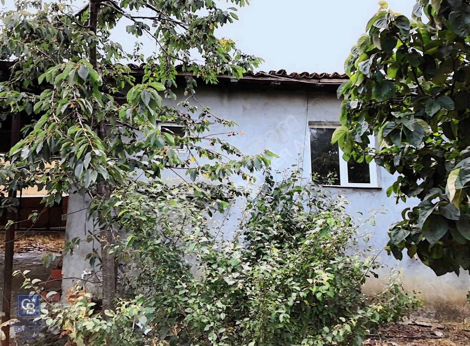 Çanakkale Yenice Satılık Konut İmarlı KAZDAĞLARINDA ÇANAKKALE KÖPRÜSÜ OTOBANININ YANINDA SATILIK ARSA