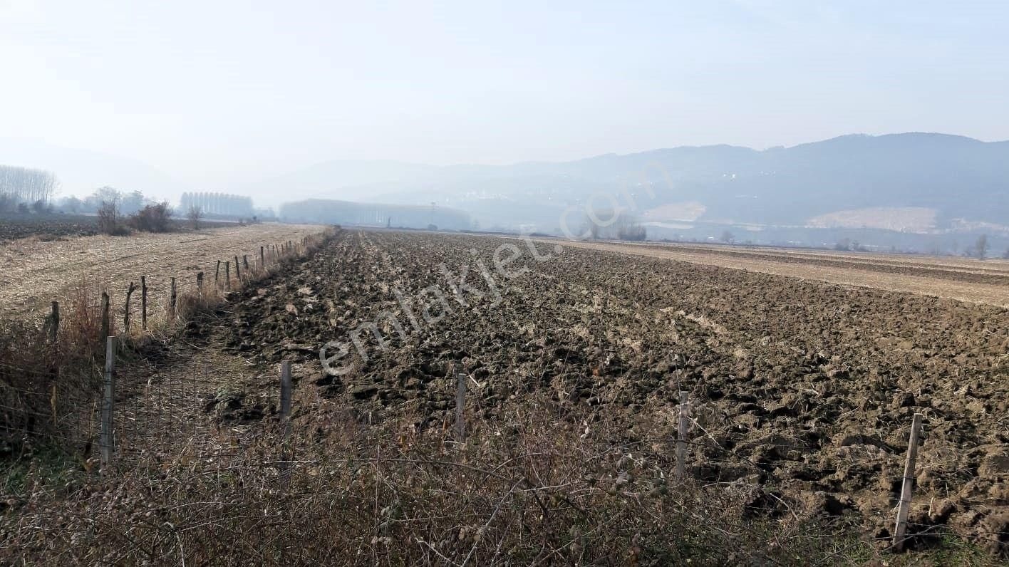 Gölyaka Esen Satılık Tarla Düzce Gölyaka Esen Mahallesinde Satılık Tarla