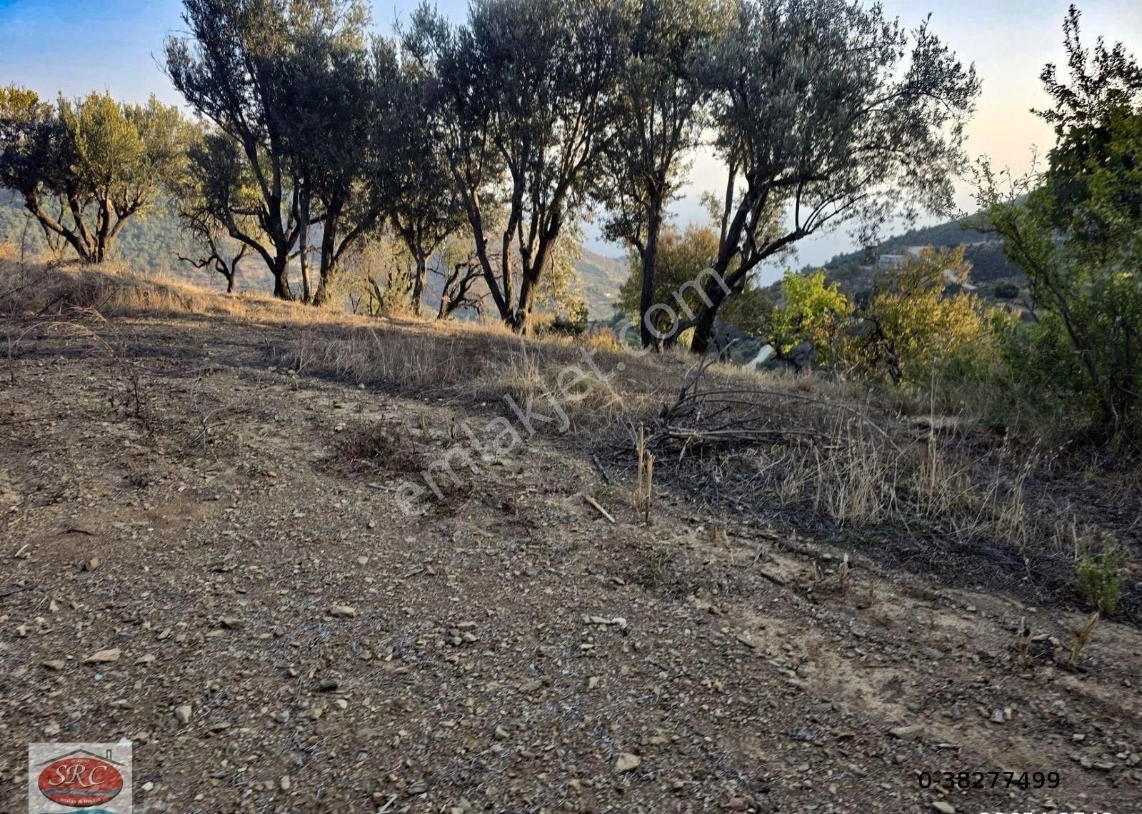 Mersin Anamur Uçarı Satılık Tarla-ev - Görsel 18