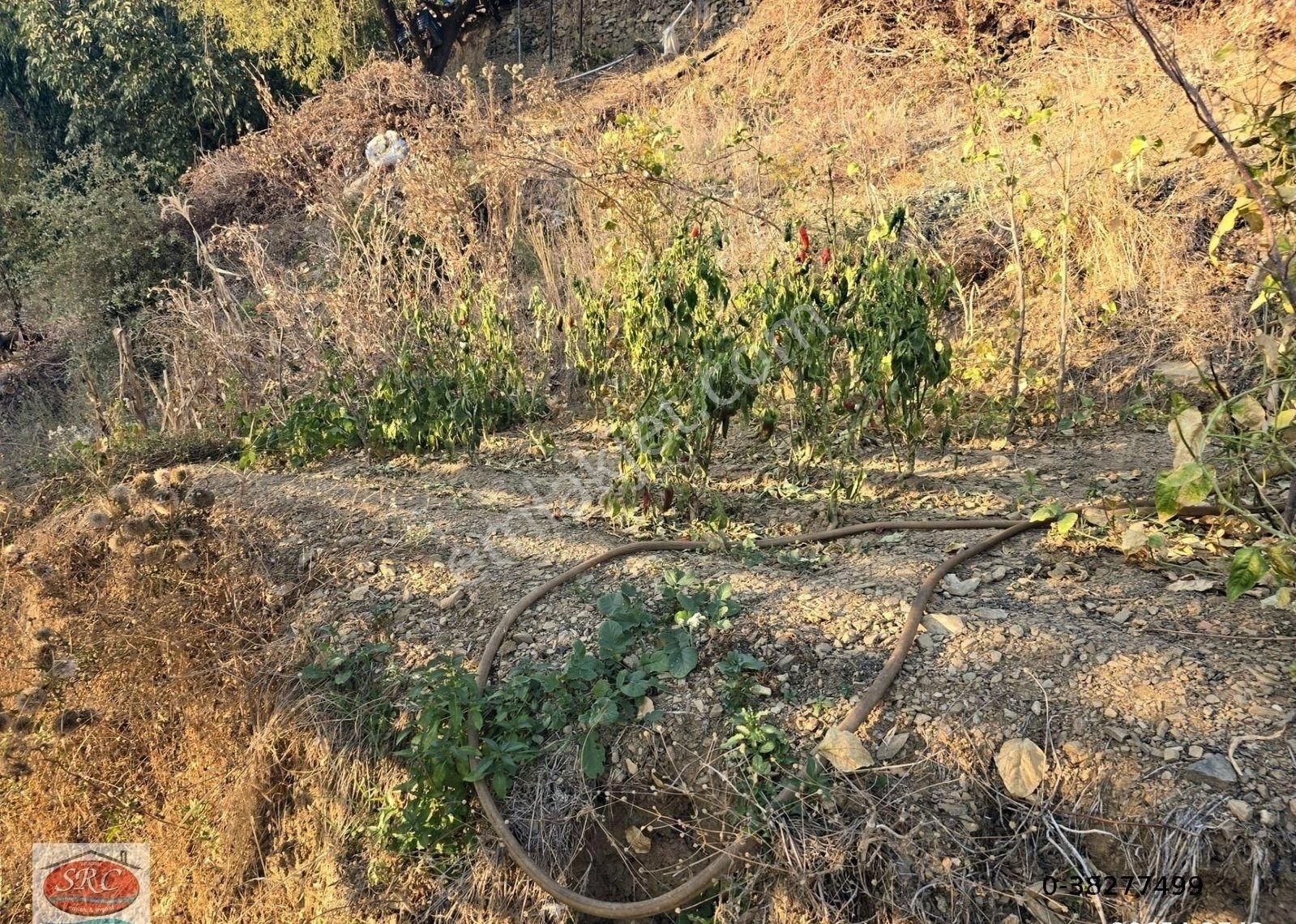 Mersin Anamur Uçarı Satılık Tarla-ev - Görsel 3