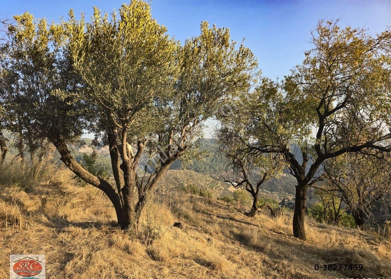 Mersin Anamur Uçarı Satılık Tarla-ev - Görsel 2