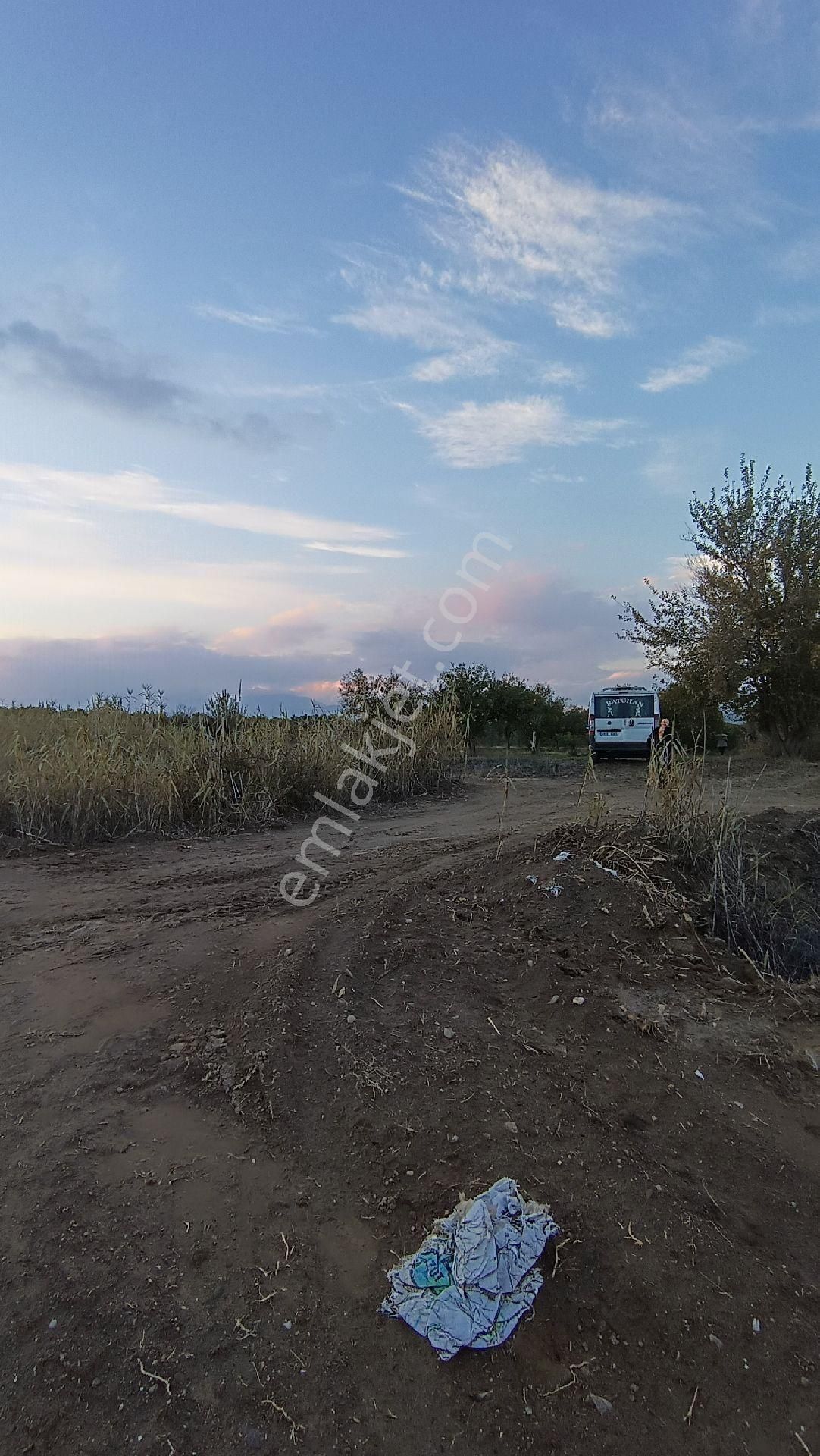 Nazilli / Hamzallı Da Satılık Portakal Bahçesi - Görsel 18