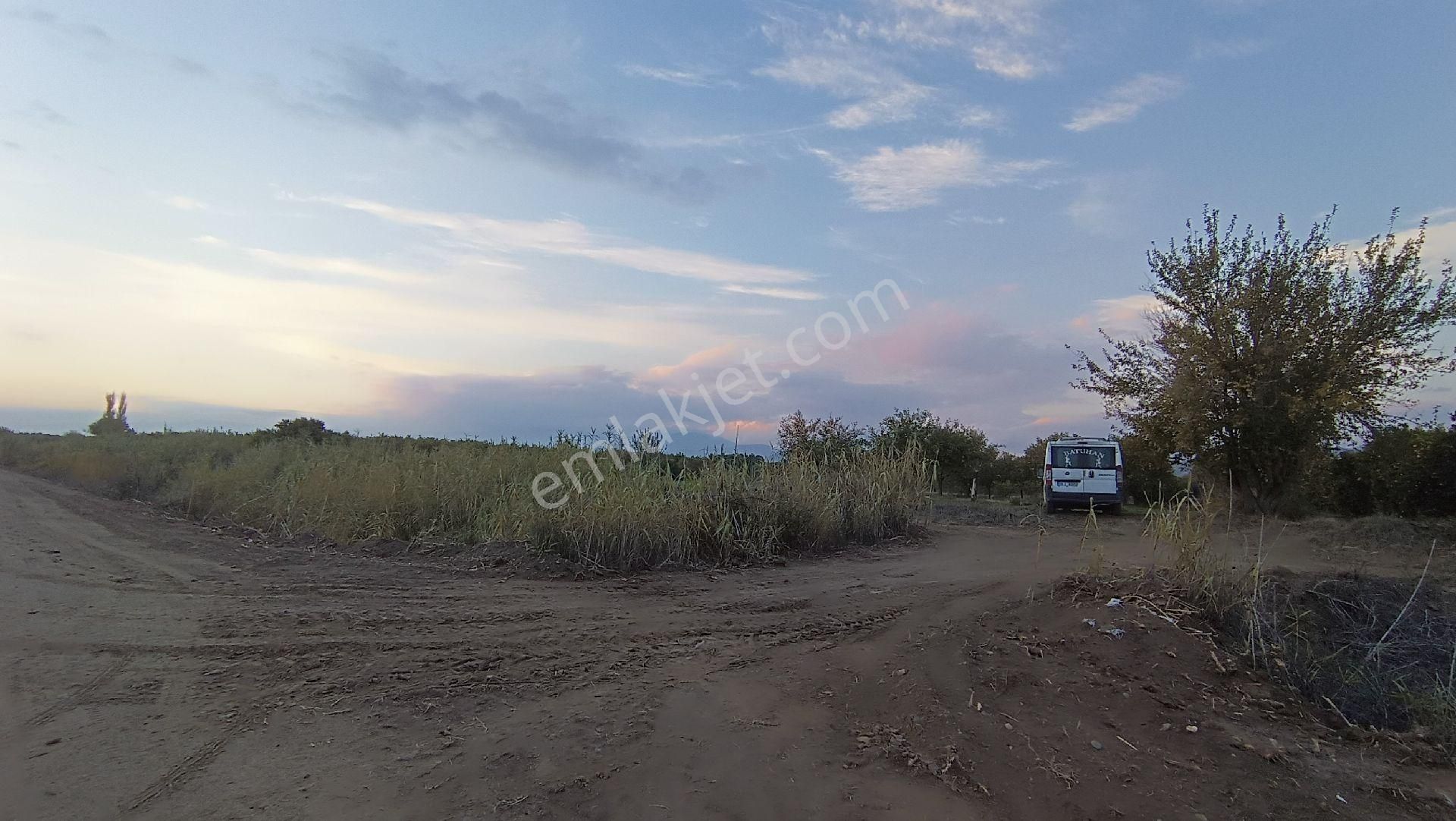 Nazilli / Hamzallı Da Satılık Portakal Bahçesi - Görsel 15