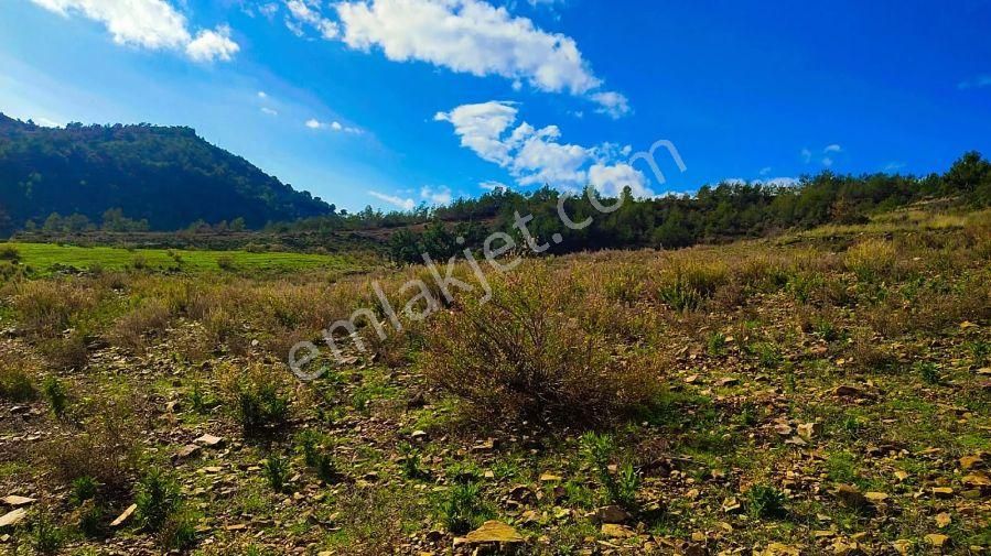 Aslıhan Gayrimenkul'den Demirören Mahallesin'de Satılık Tarla - Görsel 12