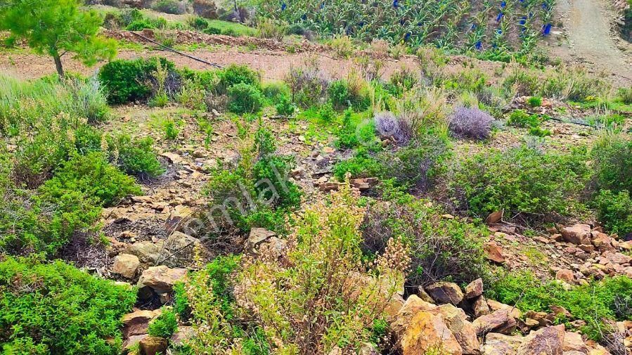 Aslıhan Gayrimenkul'den Demirören Mahallesin'de Satılık Tarla - Görsel 18