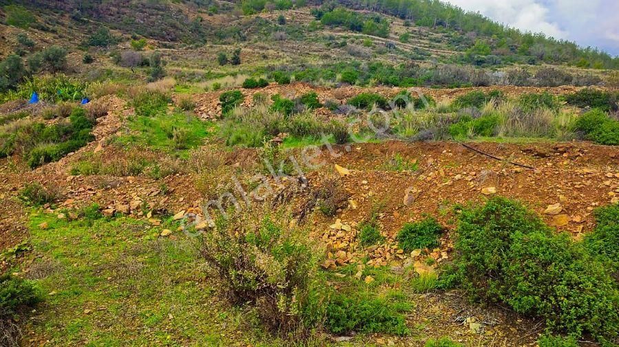 Aslıhan Gayrimenkul'den Demirören Mahallesin'de Satılık Tarla - Görsel 22
