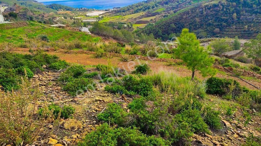 Aslıhan Gayrimenkul'den Demirören Mahallesin'de Satılık Tarla - Görsel 19