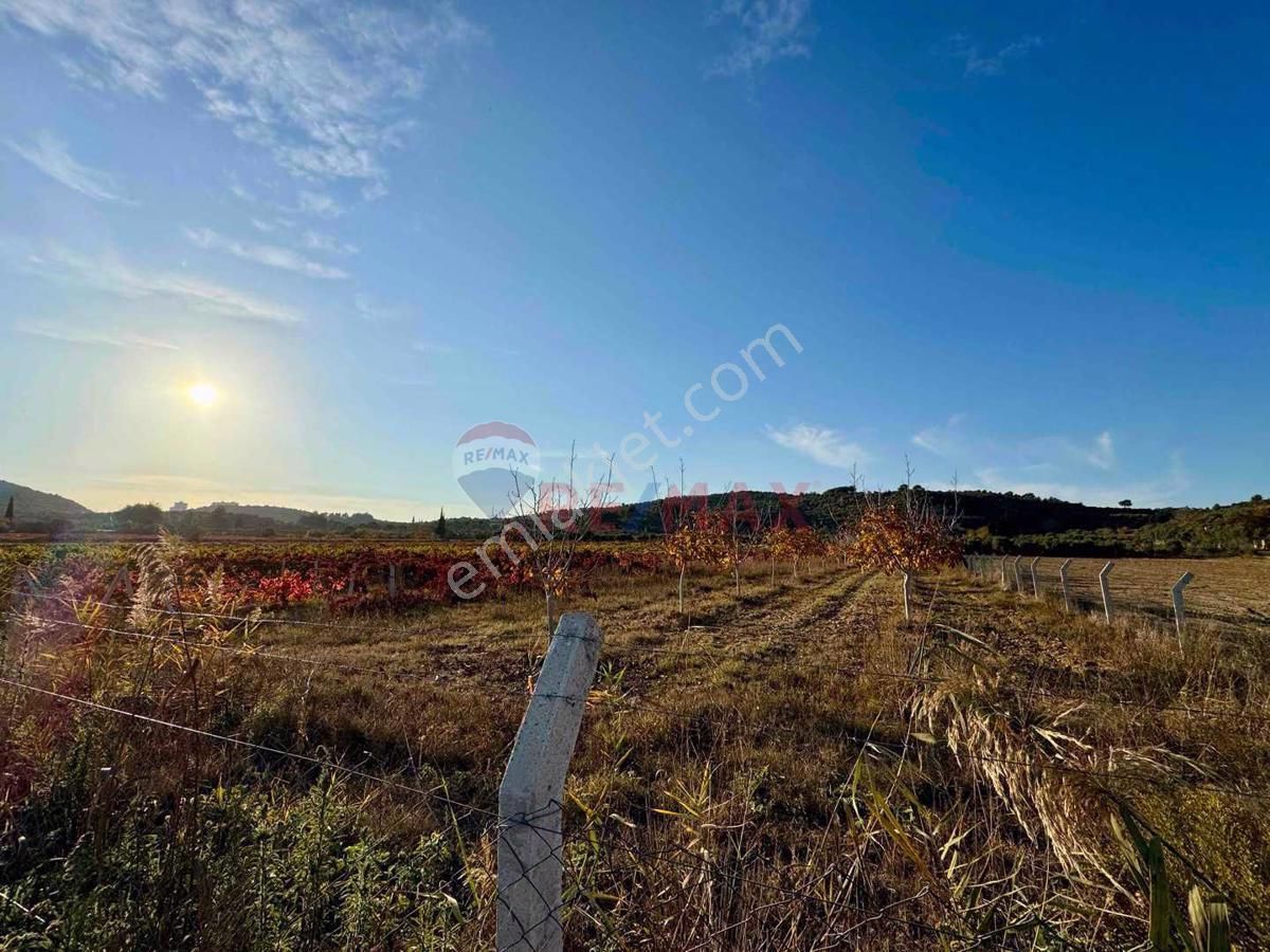 Kuşadası Değirmendere Satılık Bağ & Bahçe Kuşadası Değirmendere De Satılık 12400 M2 Zeytin, Bağ Ve Ceviz Bahçesi