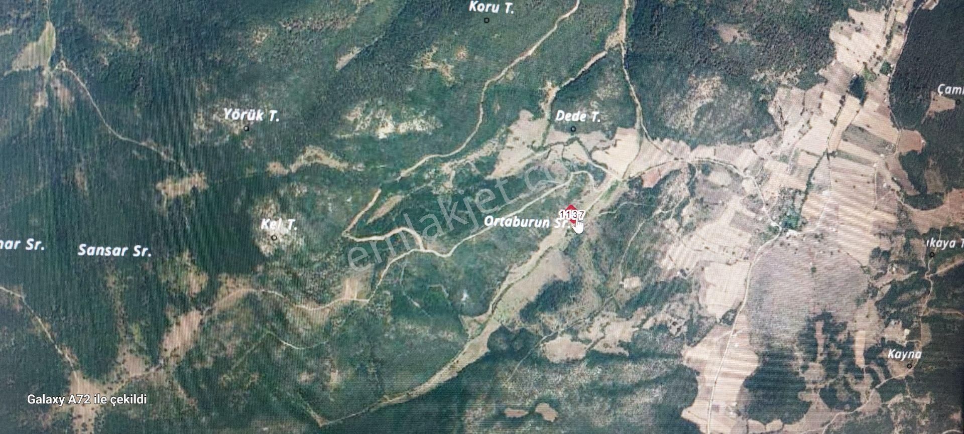 Bursa Kılıç Tan Yenişehir Marmaracık Ta 2 Dönüm Satılık Tarla - Görsel 5