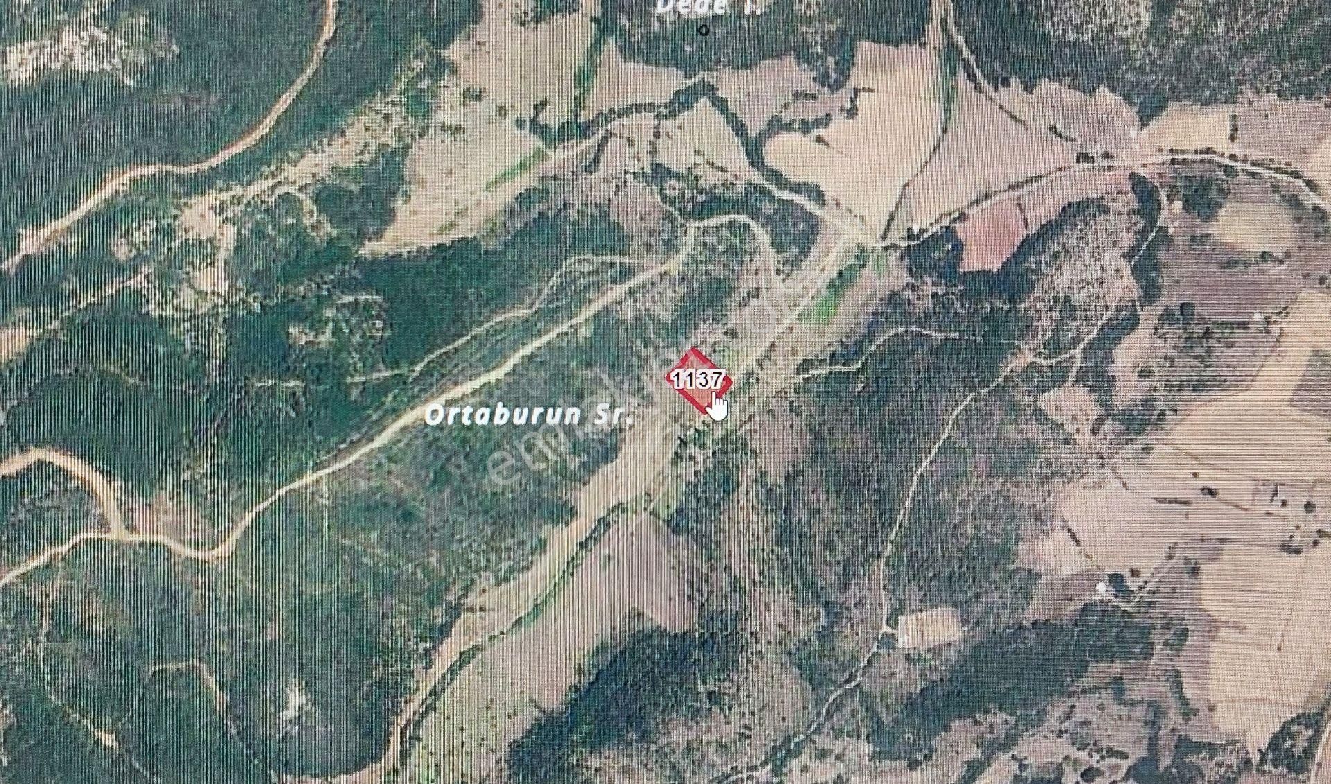 Bursa Kılıç Tan Yenişehir Marmaracık Ta 2 Dönüm Satılık Tarla - Görsel 4