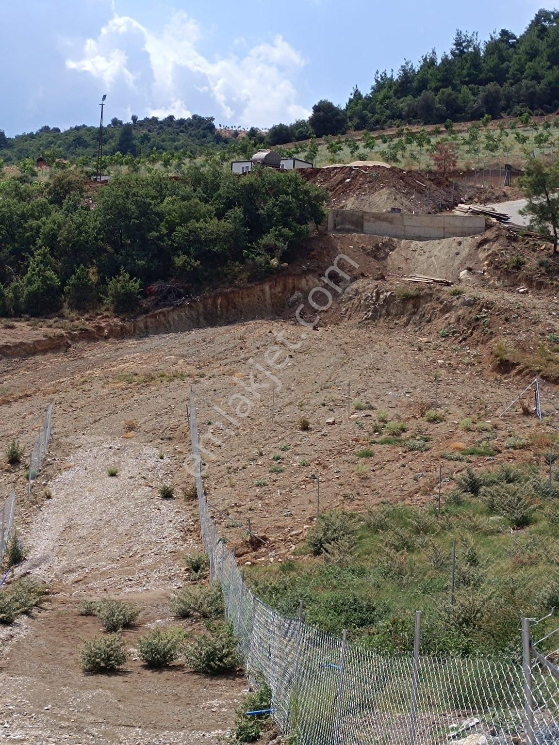 Yenişehir Marmaracık Satılık Tarla Royal Officeden Bursa Yenişehir Marmaracıkta Satılık Hobi Bahçeleri