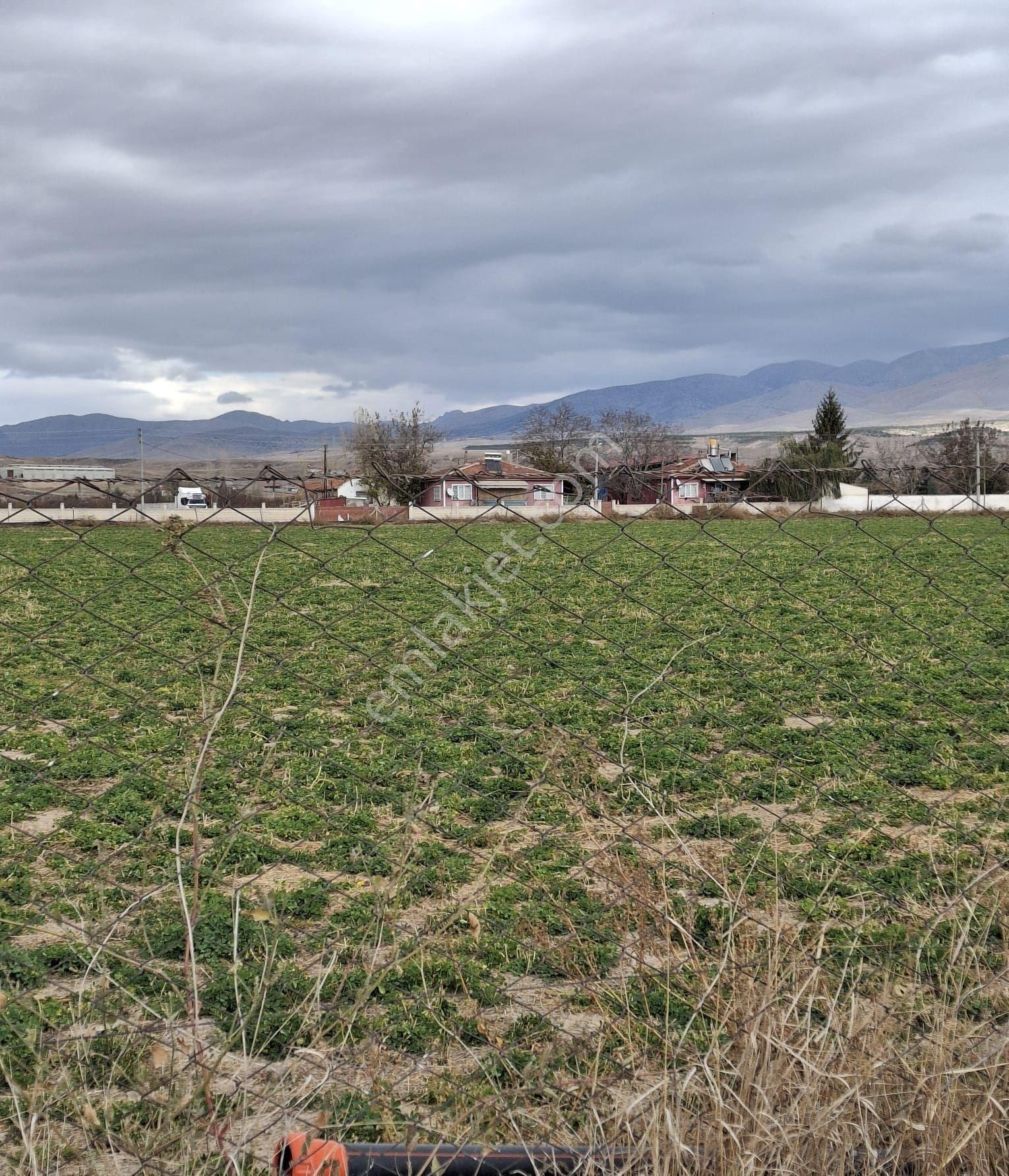 16500 Dönüm Tarla 800bin - Görsel 14