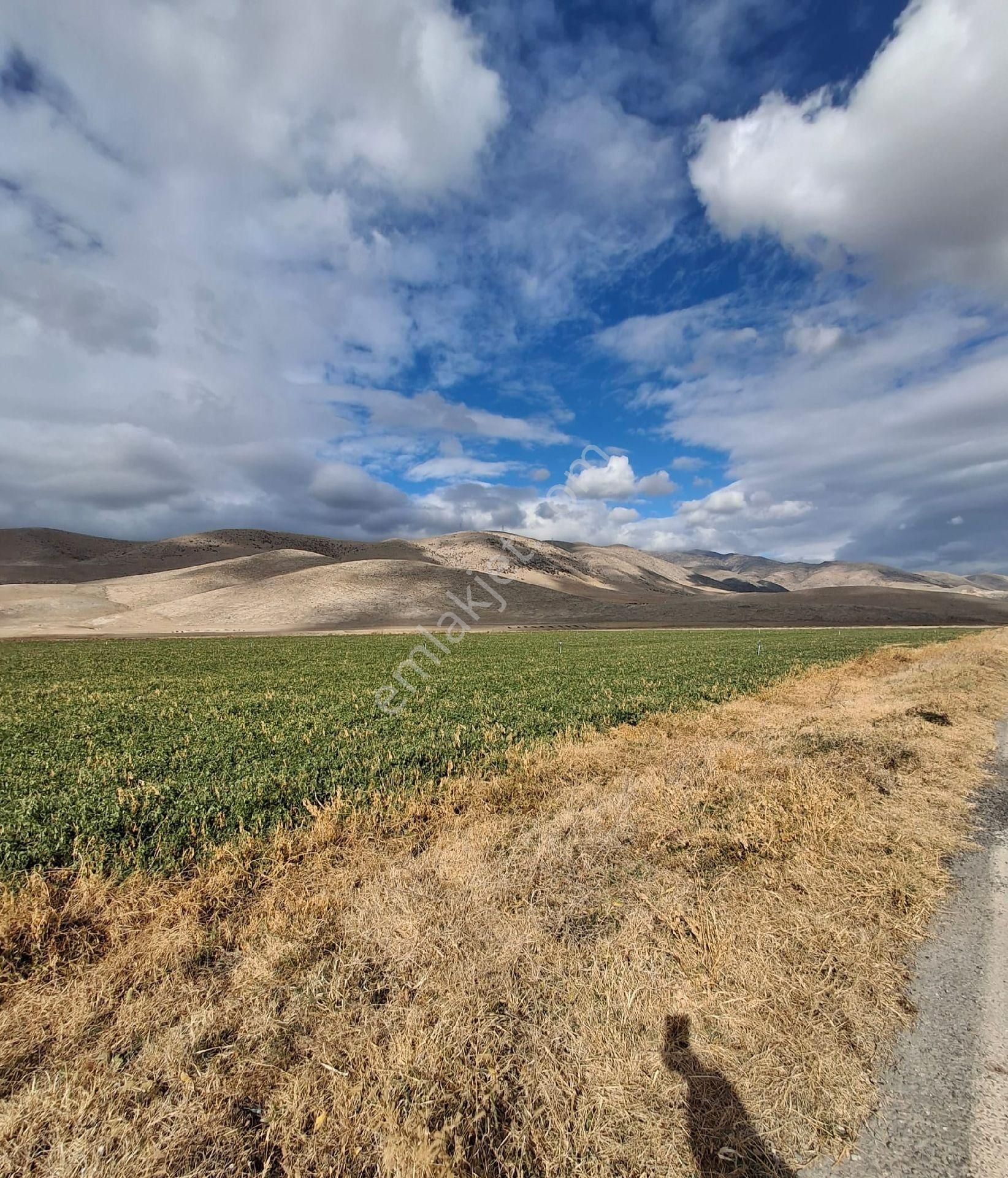 16500 Dönüm Tarla 800bin - Görsel 15