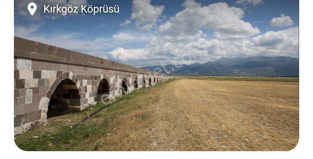 16500 Dönüm Tarla 800bin - Görsel 7