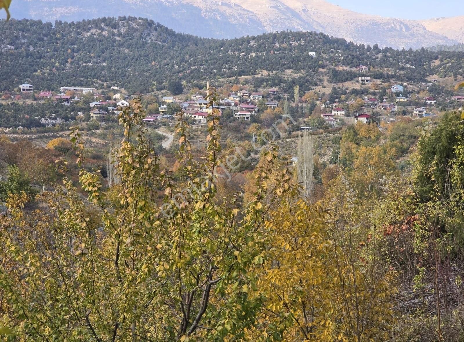 Toroslar Kavaklıpınar Satılık Bağ & Bahçe MERSİN TOROSLAR KAVAKLIPINAR MAH.'DE SATILIK ERİK BAHÇESİ