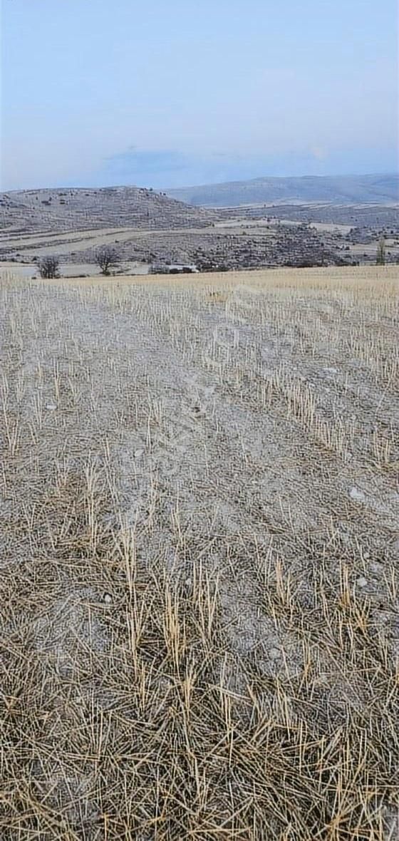 Mut Güme Satılık Tarla Mersin Mut Güme Mah.'de Satılık Tarla