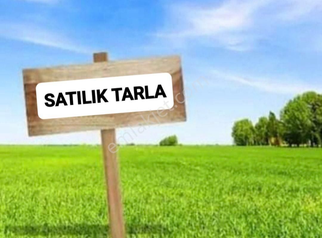 Yalvaç Yarıkkaya Köyü Satılık Tarla Murat Türkmen'den Isparta_yalvaç'ta Satılık Tek_tapu Yatırıma_uygun Fiyatı_hesaplı 10_dönüm_tarla