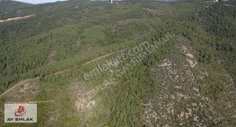 Armutlu Bayır Satılık Turizm İmarlı ARMUTLU BAYIR MH.(MERCAN ÇİFTLİĞİ) 56.DÖNÜM TERMAL TURİZM İMARLI